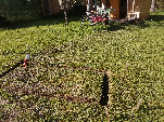 [IMG_20210522_173040.jpg]