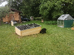 [IMG_20210620_194444.jpg]
